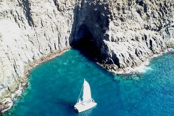 Tenerife Whales and Dolphins Watching Experience in Catamaran - Onboard Catering: Snacks, Drinks, and a Relaxed Atmosphere
