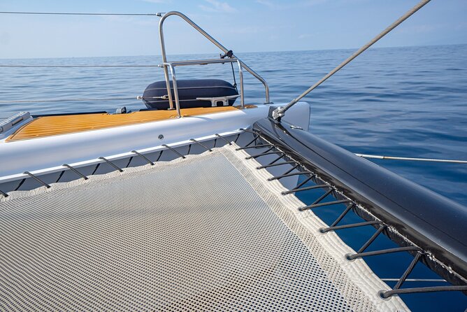 Tenerife Whales and Dolphins Watching Experience in Catamaran - Safety and Accessibility on the Catamaran