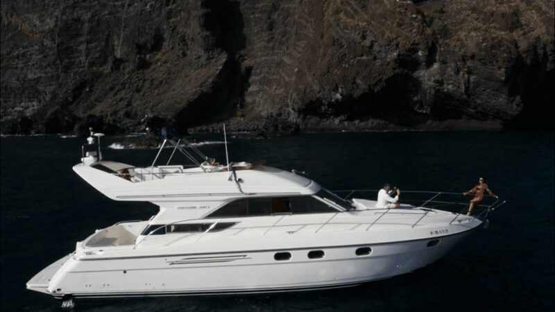 Tenerife: Whales and Snorkeling Tour on a Luxury Yacht - Whale and Dolphin Watching in Natural Habitat