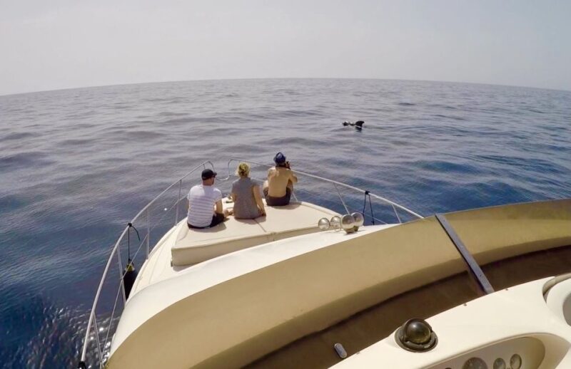 Tenerife: Whales and Snorkeling Tour on a Luxury Yacht - Practical Tips and Considerations