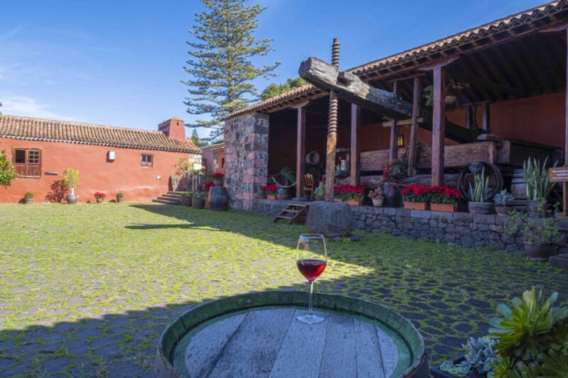 Tenerife: Wine Museum Ticket with Local Wines & Food Tasting - Practical Details and Accessibility