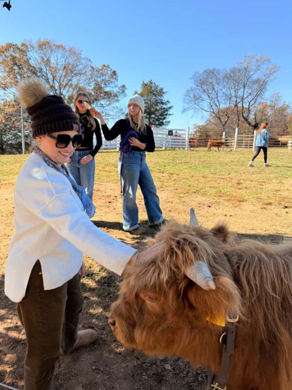 Tennessee: Fluffy Highland Cow Experience + Gelato & Coffee - Key Points