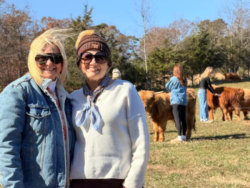 Tennessee: Fluffy Highland Cow Experience + Gelato & Coffee - Highland Cows: Friendly Scottish Giants