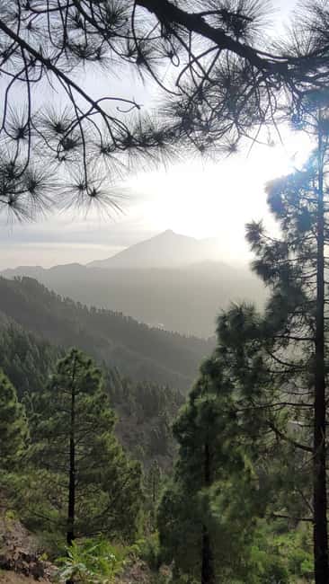 Teno: Circular hike from Erjos over the mountain ridge with views of Masca - Why Choose This Tour Over Similar Options