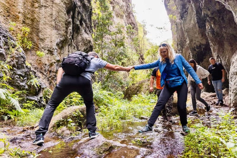 Teno Waterfalls Hiking Tour: Tropical Jungle Adventure - Key Points