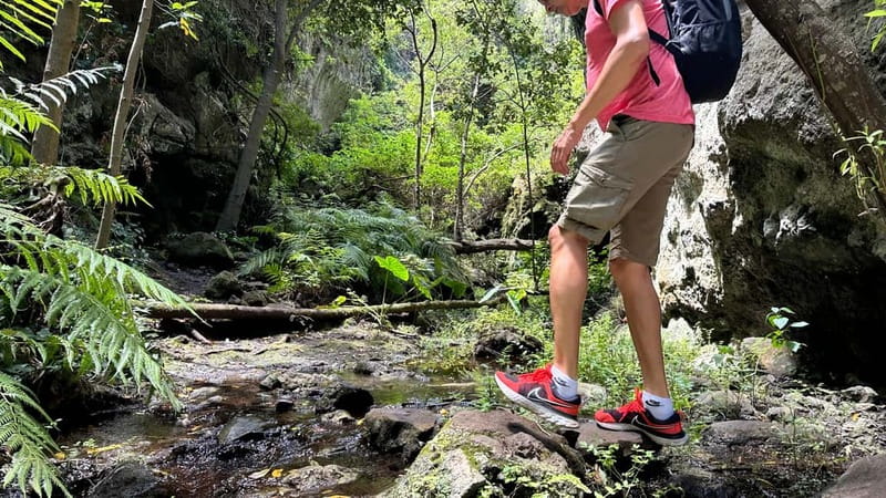 Teno Waterfalls Hiking Tour: Tropical Jungle Adventure - Walking Past Plantations and Into the Wild Forest