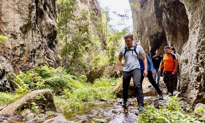 Teno Waterfalls Hiking Tour: Tropical Jungle Adventure - The Waterfall and Rapids: The Main Adventure