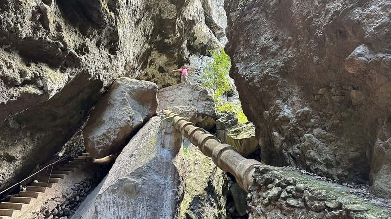 Teno Waterfalls Hiking Tour: Tropical Jungle Adventure - Returning Along the Same Trail