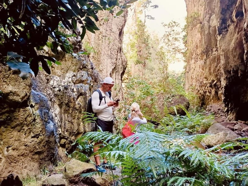 Teno Waterfalls Hiking Tour: Tropical Jungle Adventure - Refreshments and Tasting Experience at Buenavista del Norte