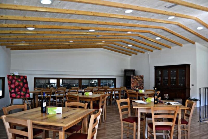 Tenuta Arabona - Tour and Tasting in the Majella National Park - Guided Tour of Vineyards and Cellar