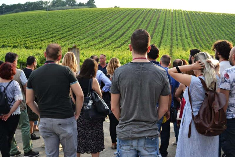 Tenuta Arabona - Tour and Tasting in the Majella National Park - The Eco-Conservation Aspect: Bear Friendly and Park Program