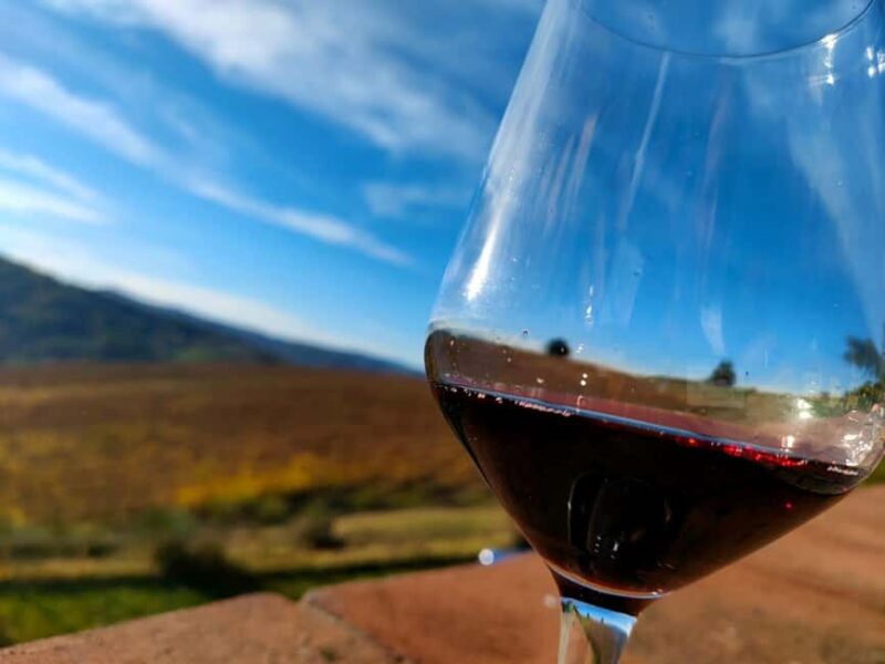 Tenuta Bonzara - Tour and wine tasting in the Bolognese Hills - Explore the Charm of Tenuta Bonzara in the Bolognese Hills