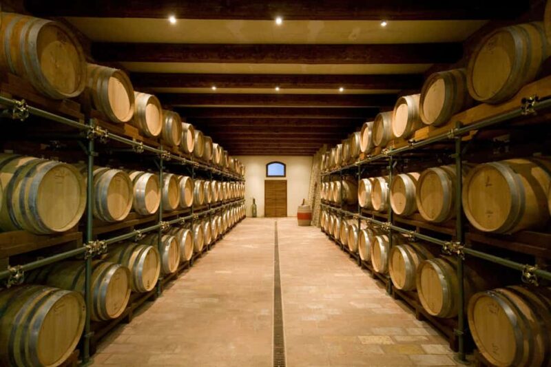 Tenuta Bonzara - Tour and wine tasting in the Bolognese Hills - Tasting Five Wines with Carefully Paired Local Snacks