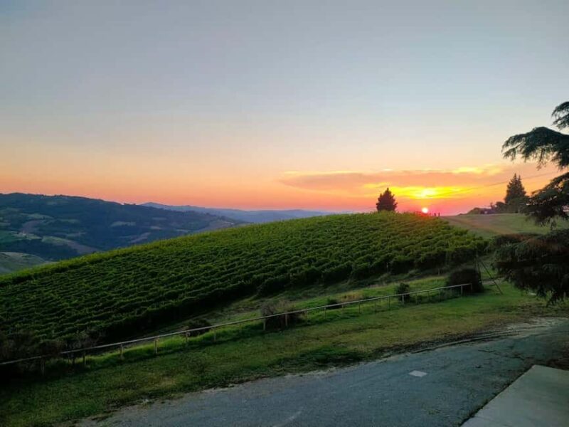 Tenuta Bonzara - Tour and wine tasting in the Bolognese Hills - Logistics: Meeting Point and Accessibility