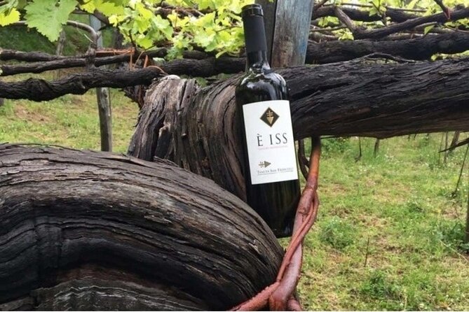 Tenuta San Francesco Wine Tasting - Explore the Historic Charm of Tenuta San Francesco in Tramonti