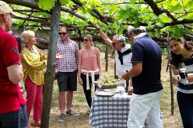 Tenuta San Francesco Wine Tasting - Booking and Cancellation Policies