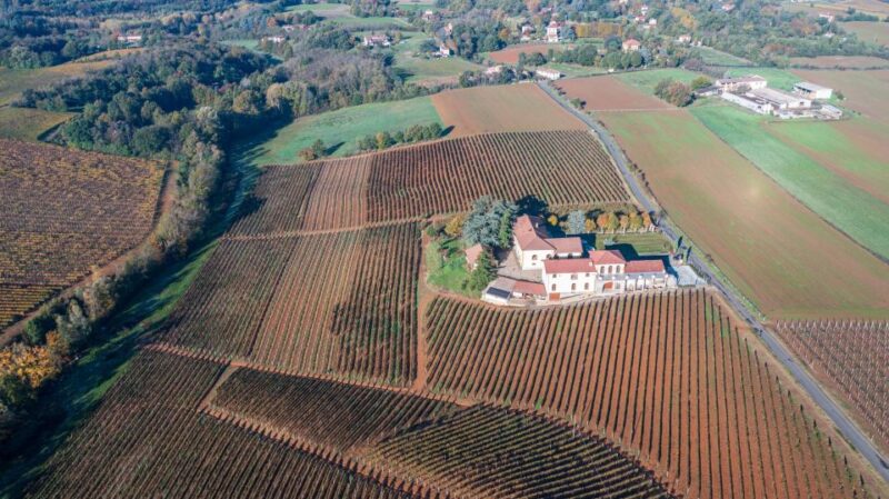 Tenuta San Lorenzo: classic wine tasting and winery tour - What Sets This Tour Apart from Others in Piedmont