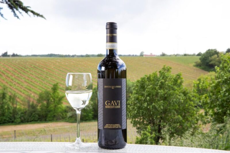 Tenuta San Lorenzo: Wine & Food Tasting Experience - Tenuta San Lorenzos Location and Setting