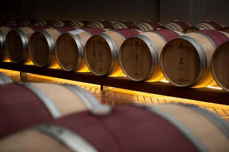 Tenute Girolamo: Winery tour and Classic tasting in the Itria Valley - Who Will Appreciate This Experience?