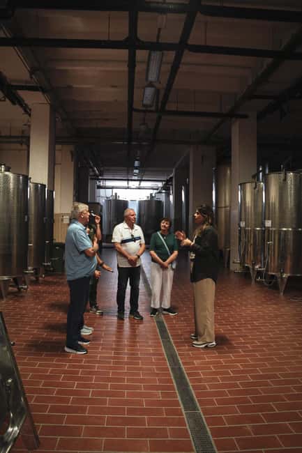 Tenute Girolamo: Winery Tour and Deluxe Tasting in the Itria Valley - The Guided Tour of the Winery and Barrel Cellar