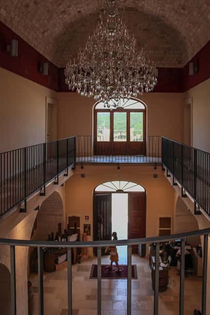 Tenute Girolamo: Winery Tour and Deluxe Tasting in the Itria Valley - The Light Lunch: Cold Cuts, Cheeses, and Focaccia