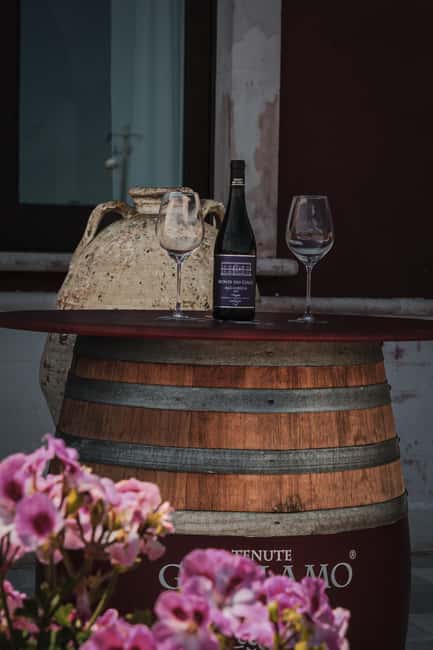 Tenute Girolamo: Winery Tour and Deluxe Tasting in the Itria Valley - Final Thoughts: Is This Tour Right for You?