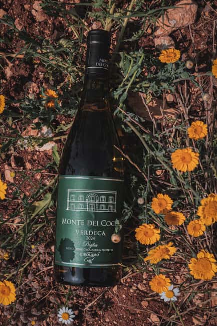 Tenute Girolamo: Winery tour and VIP tasting in the Itria Valley - The Extra Touch: Personalized and Well-Organized