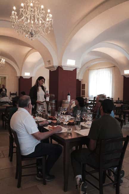 Tenute Girolamo: Winery tour and VIP tasting in the Itria Valley - The Sum Up: A Solid Choice for Wine Lovers