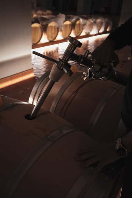Tenute Girolamo: Winery tour and VIP tasting in the Itria Valley - Frequently Asked Questions