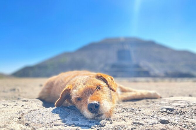 Teotihuacan and My Grandma's Food Tour - Logistics: Meeting Point, Group Size, and Accessibility