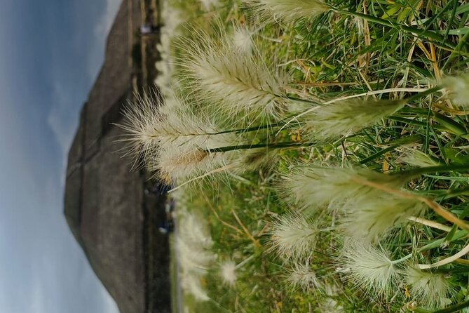 Teotihuacan Pyramids small groups and Basilica of Guadalupe - Comfortable Transportation and Convenient Meeting Details