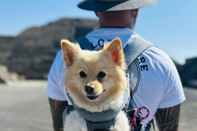 Teotihuacan Sunrise Tour from Mexico City - Practical Tips for Participants