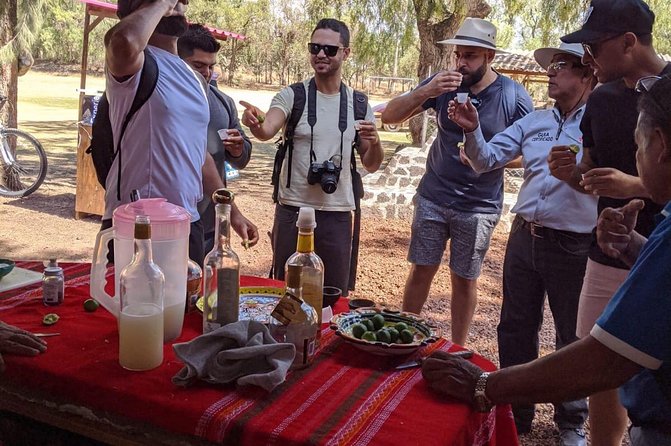 Teotihuacan Tours - Reviews and Overall Satisfaction