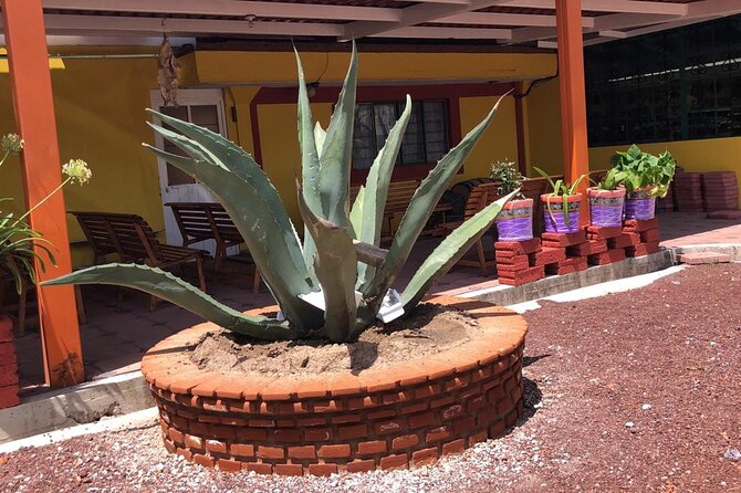 Teotihuacan y Basilica de Guadalupe Private Tour - Exploring the Historic Tlatelolco Site