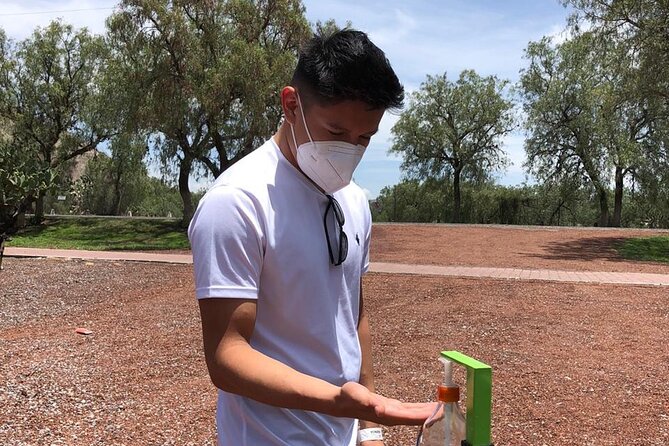 Teotihuacan y Basilica de Guadalupe Private Tour - Convenient Logistics and Pickup Service