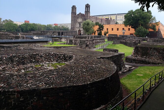 Teotihuacan y Basilica de Guadalupe Private Tour - Pacing and Physical Requirements