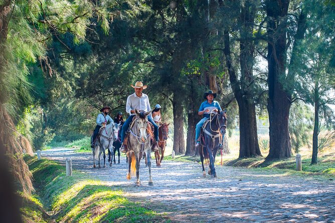Tequila Agave & Rural Horseback Adventure in El Arenal - Exploring the Hidden Countryside Spot with Coffee and Tacos