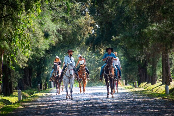 Tequila Agave & Rural Horseback Adventure in El Arenal - Logistics and Practical Considerations