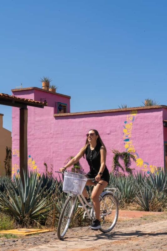 Tequila and food tour in Altos de Jalisco along the road of love - Hacienda Tequila Ocho in Arandas: Tradition and Modern Cuisine