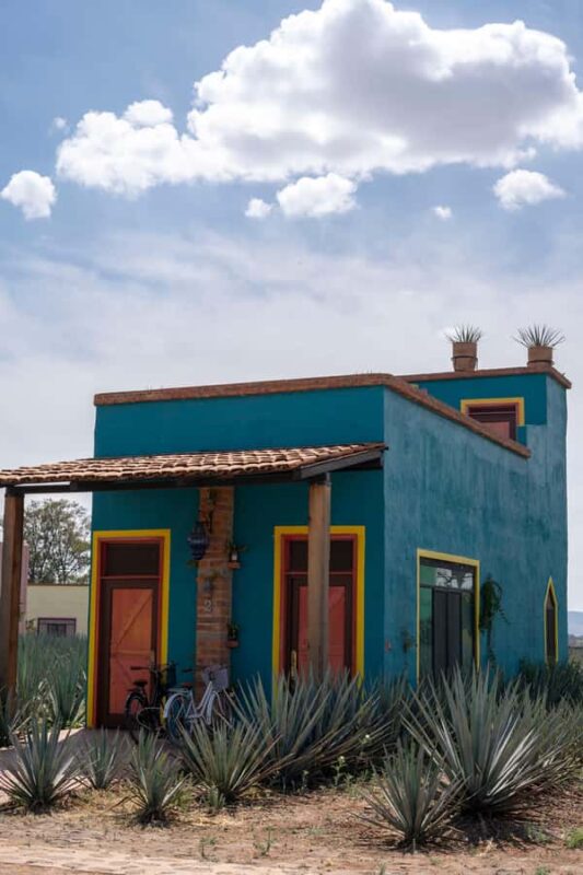 Tequila and food tour in Altos de Jalisco along the road of love - Logistics and Tour Structure