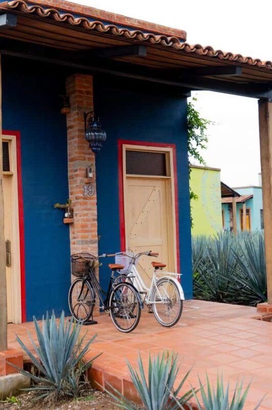 Tequila and food tour in Altos de Jalisco along the road of love - The Experience Provider and Booking Flexibility