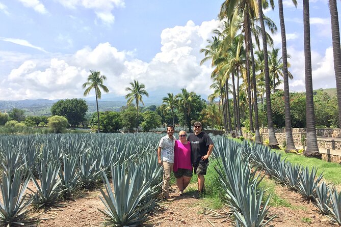 Tequila and Guachimontones Full Day Private Tour - Logistics and Booking Details