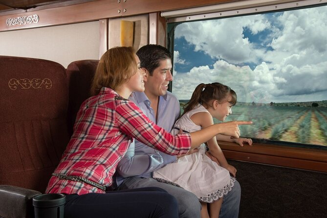 Tequila Day Trip from Guadalajara with Jose Cuervo Express Train - Enjoying the Cultural Show and Traditional Toasts