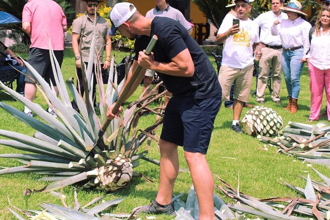 Tequila Distilleries Admission Tickets & Tastings - Frequently Asked Questions