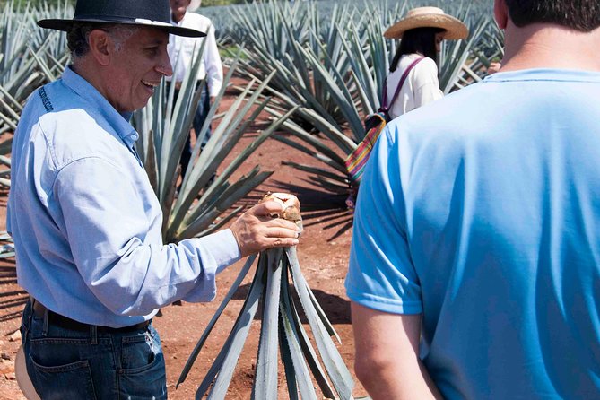 Tequila distillery experience, Jose Cuervo & Tequila Magic Town - Free Time in the Vibrant Town of Tequila