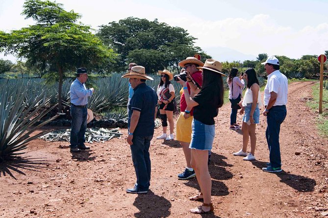 Tequila distillery experience, Jose Cuervo & Tequila Magic Town - Food, Tastings, and Souvenirs