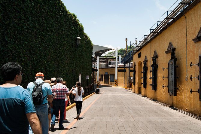 Tequila distillery experience, Jose Cuervo & Tequila Magic Town - Booking, Cost, and Overall Value