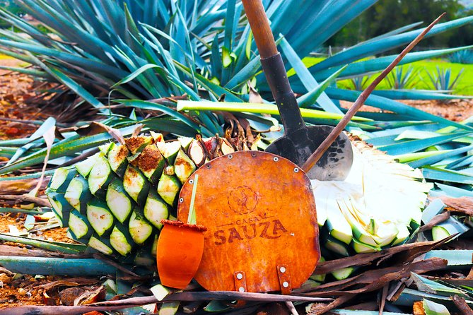 Tequila Express - Explore the Authentic Tequila Journey in Guadalajara