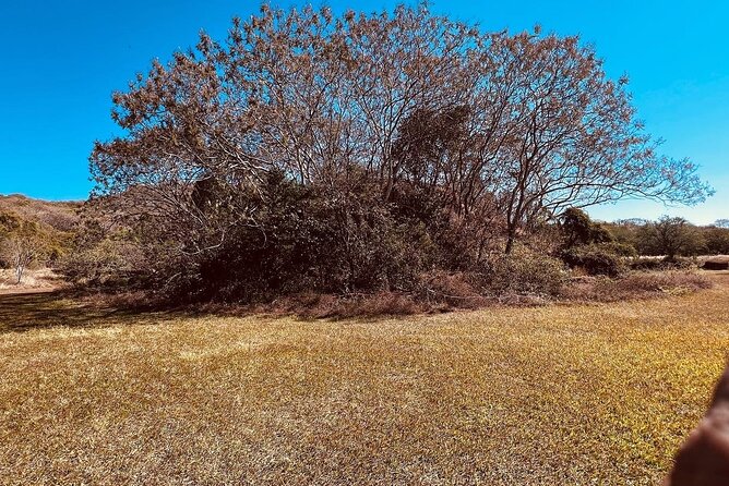 Tequila/Guachimontones Tour-cultural heritage route - The Expertise and Friendly Approach of Guides