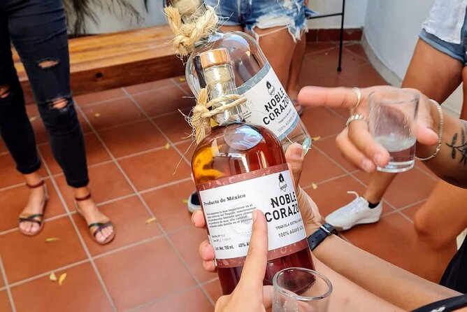 Tequila, Mezcal and Raicilla Tasting - Comparing Similar Experiences in Puerto Vallarta